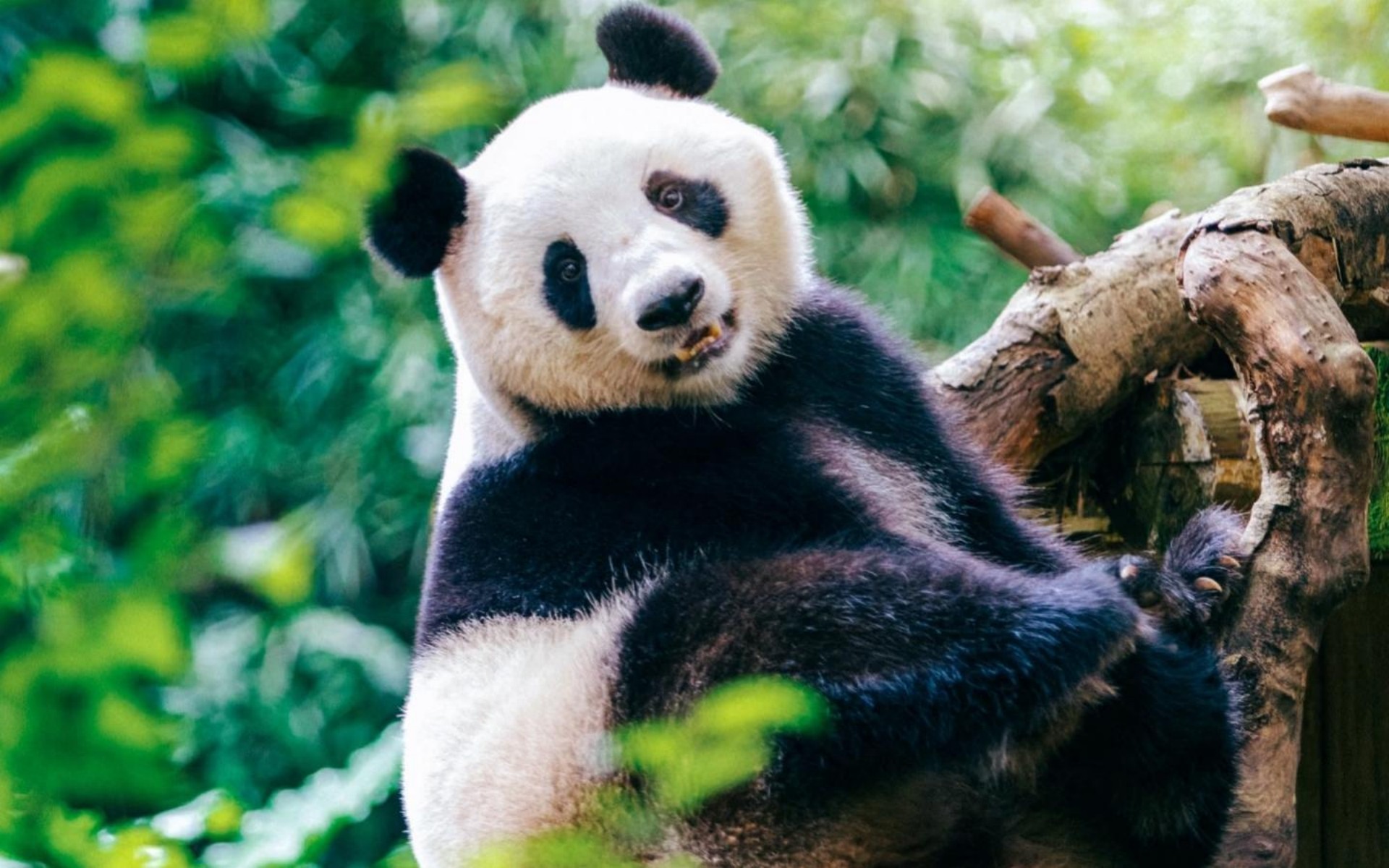 Private Family Tours China